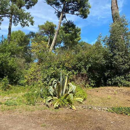Villa Filatte Les Portes-en-Re